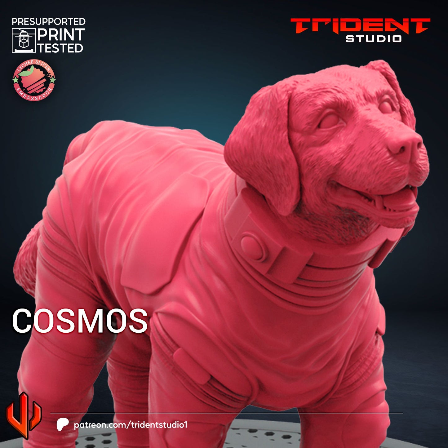Cosmos