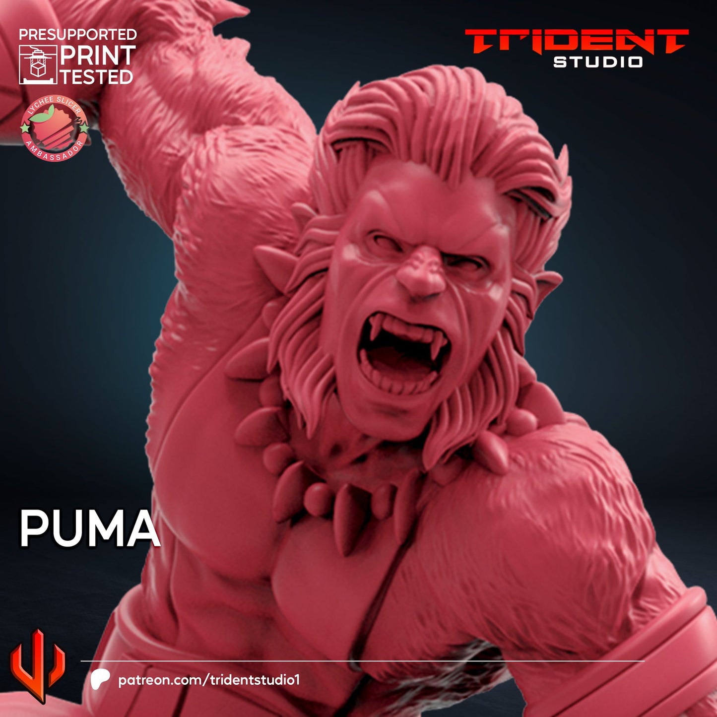 Puma