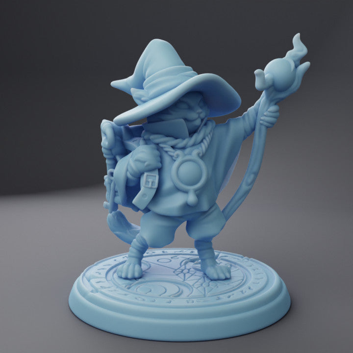 Callum The Tabaxi Wizard