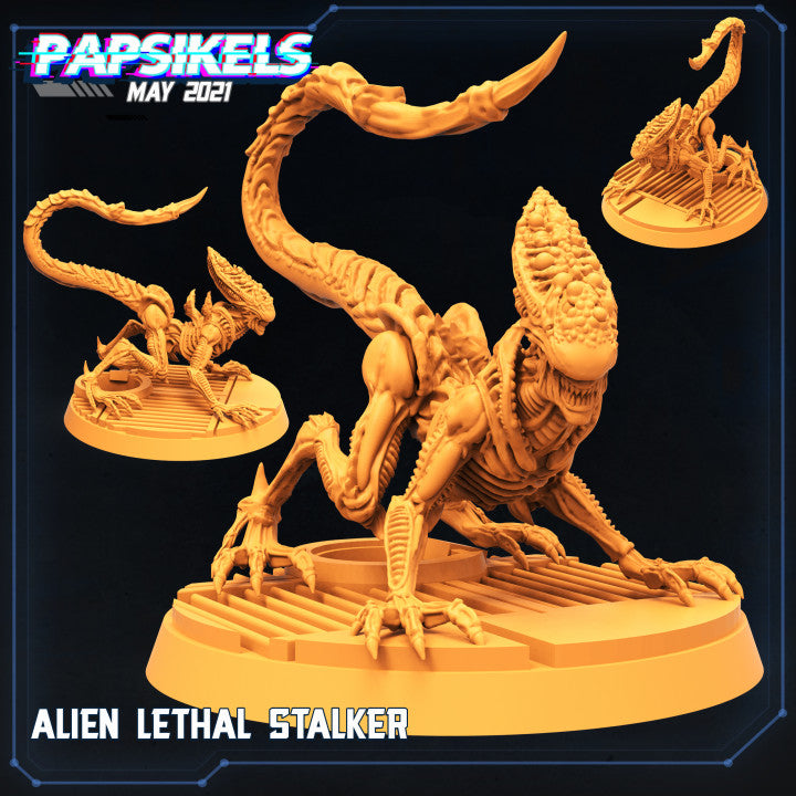 Alien Lethal Stalker