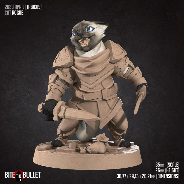 Cat Rogue (Medium) - Tabletop Figure for Dungeons & Dragons, DnD, Pathfinder RPGs, TTRPG