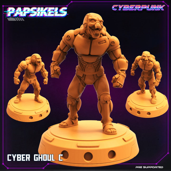Cyber Ghoul C