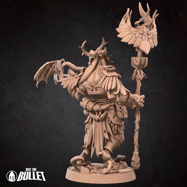 Dragonborn Druid (Medium) - Tabletop Figure for Dungeons & Dragons, DnD, Pathfinder RPGs, TTRPG