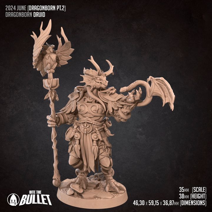 Dragonborn Druid (Medium) - Tabletop Figure for Dungeons & Dragons, DnD, Pathfinder RPGs, TTRPG