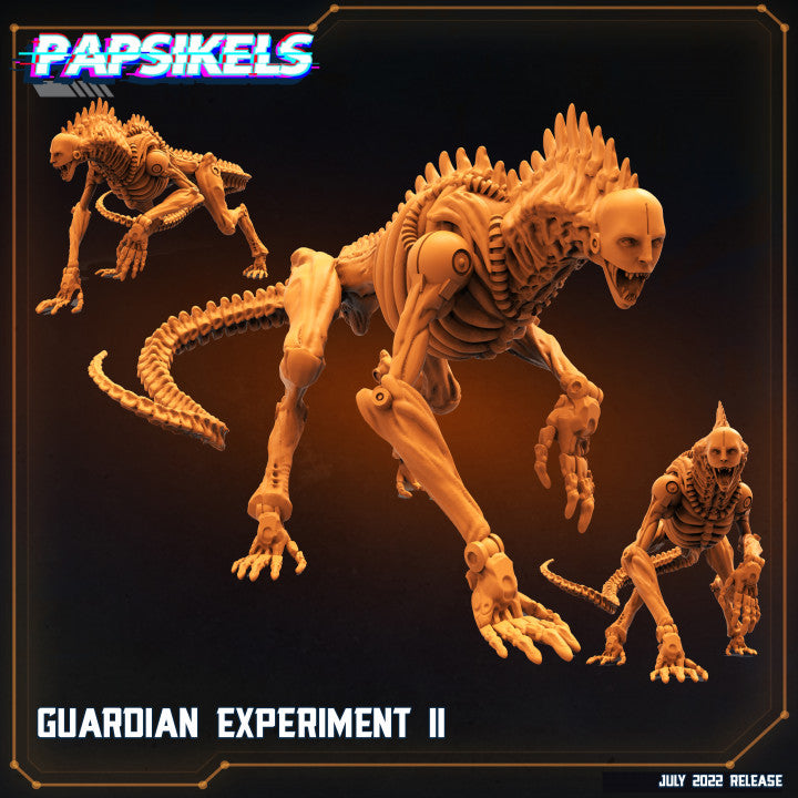 Guardian Experiment II
