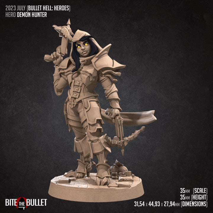 Hero Demon Hunter