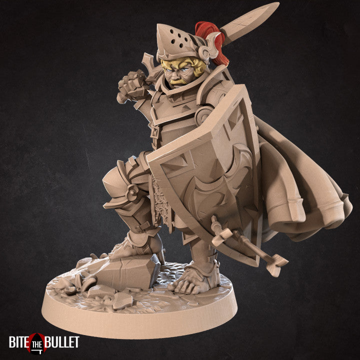 Sir Oswan, The Halfling Paladin
