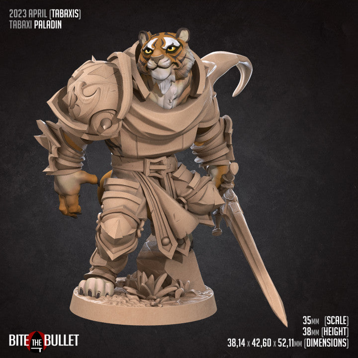 Tabaxi Paladin