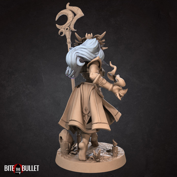 Tiana, The Sorceress Night Elf (Medium) - Tabletop Figure for Dungeons & Dragons, DnD, Pathfinder RPGs, TTRPG