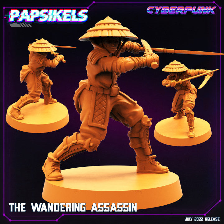 The Wandering Assassin