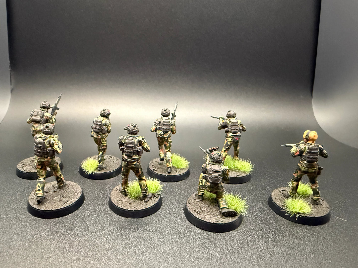 Blackthorn Expeditionary Force