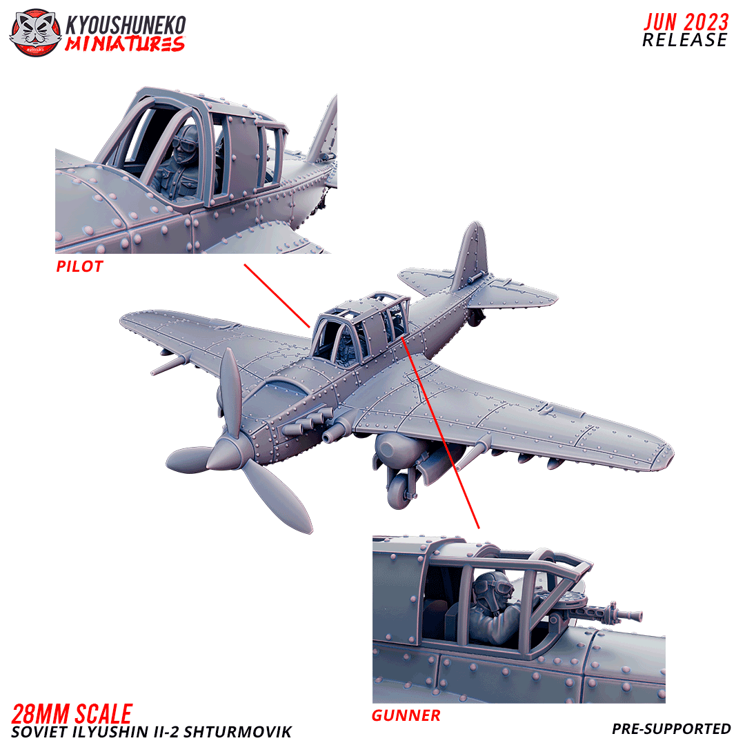 Soviet IL-2 Sturmovik