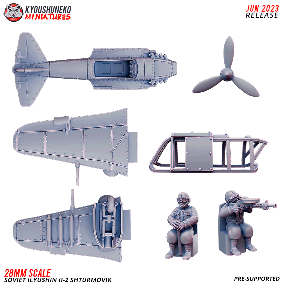 Soviet IL-2 Sturmovik