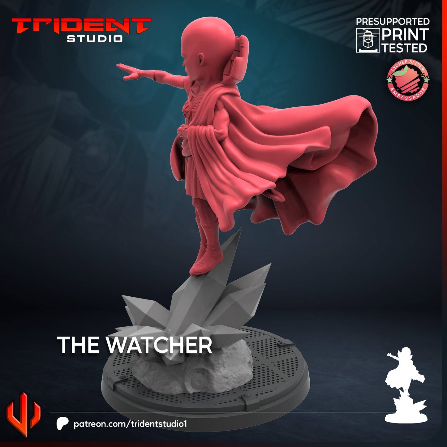 The Watcher