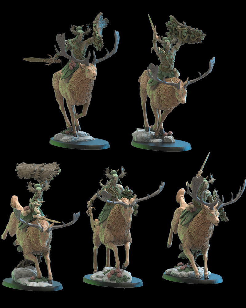 Shika Riders