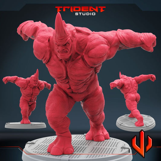 Rhino - B