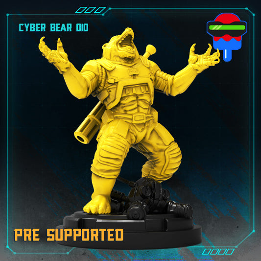 Cyber Bear Oio