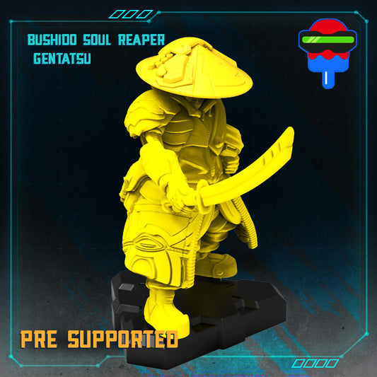 Bushido Soul Reaper Gentatsu