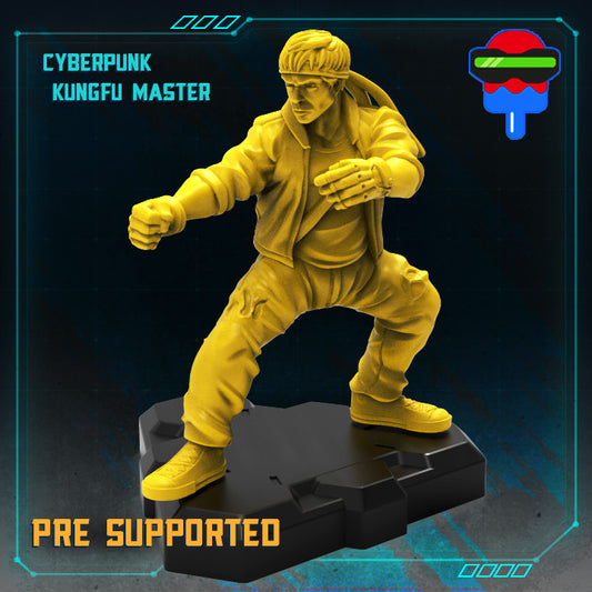 Cyberpunk Kungfu Master