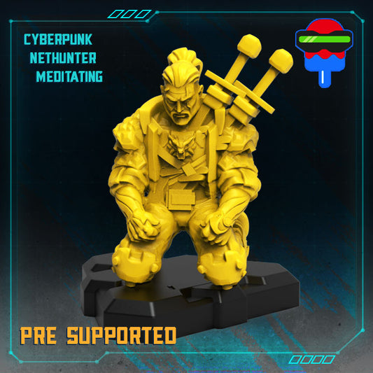 Cyberpunk Nethunter Meditating