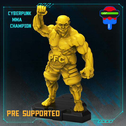 Cyberpunk Mma Champion