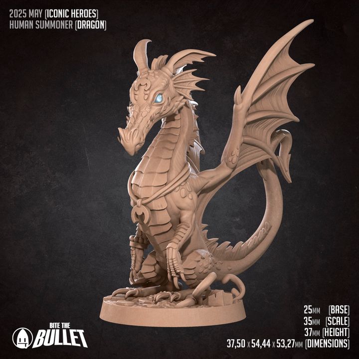 Human Summoner w/ Dragon