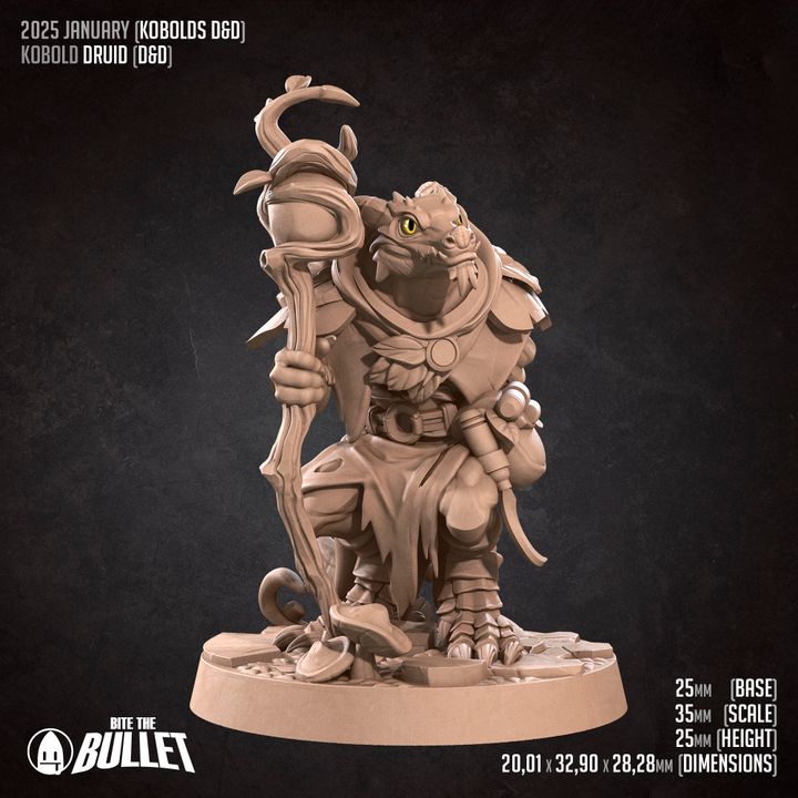 Kobold Druid (DnD)