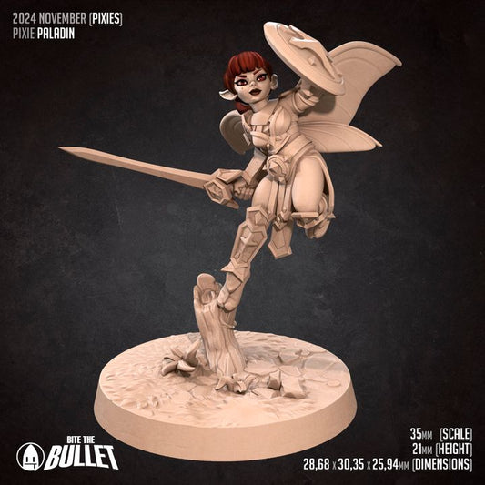 Pixie Paladin
