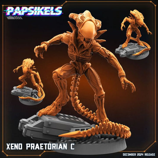 Xeno Praetorian - C