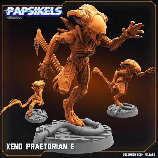 Xeno Praetorian - E