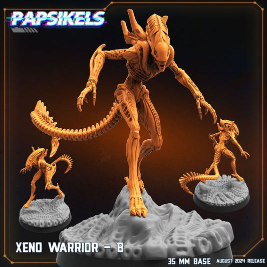 Xeno Warrior - B