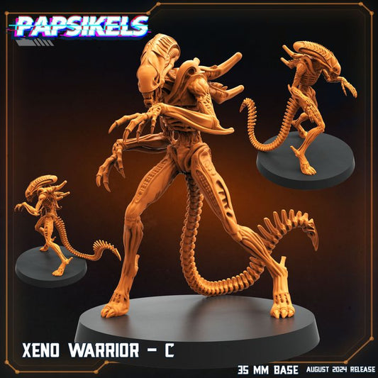 Xeno Warrior - C