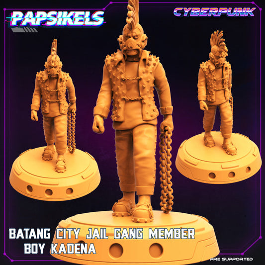 Batang City Jail Gang Member Boy Kadena