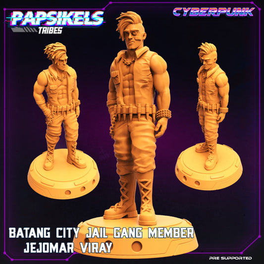 Batang City Jail Gang Member Jejomar Viray