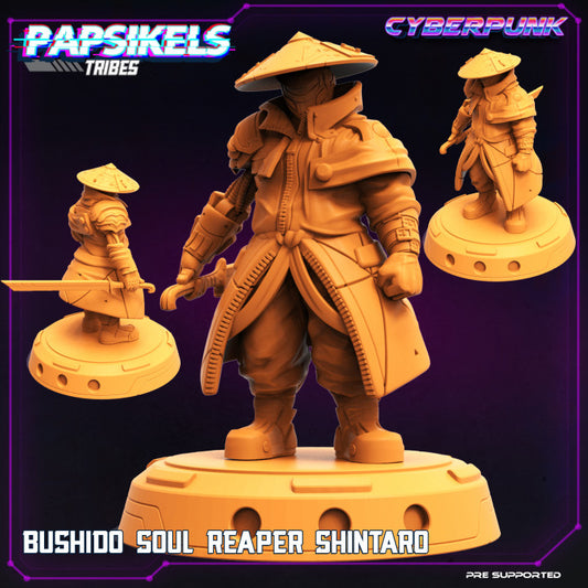Bushido Soul Reaper Shintaro Legendary