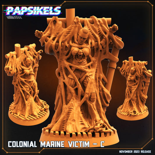 Colonial Marine Victim - C