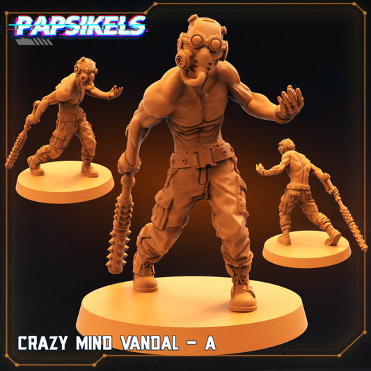 Crazy Mind Vandal - A