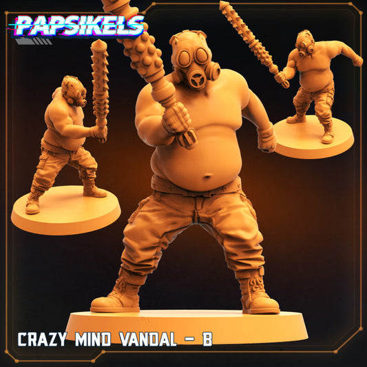 Crazy Mind Vandal - B