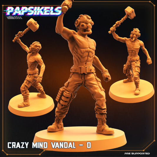 Crazy Mind Vandal - D