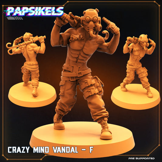 Crazy Mind Vandal - F