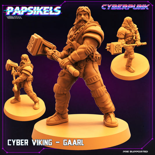 Cyber Viking - Gaarl