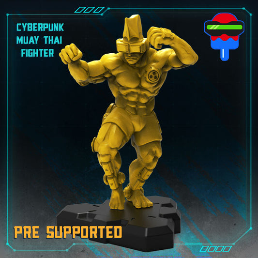 Cyberpunk Muay Thai Fighter