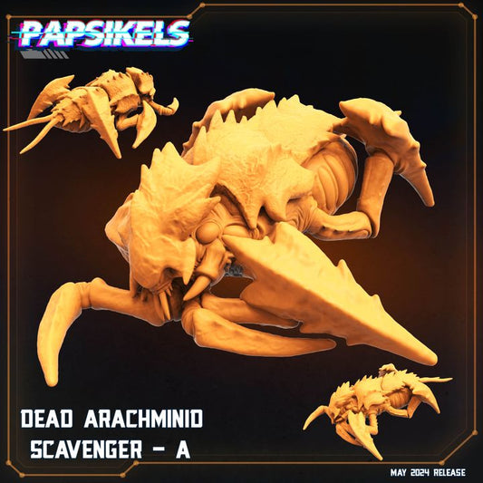 Arachminid Scavenger - A