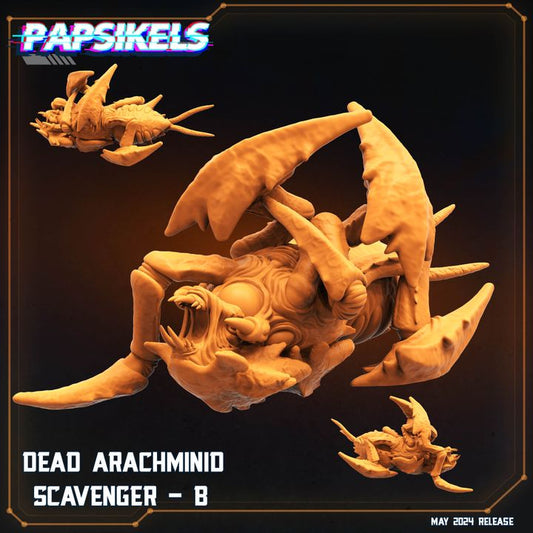 Arachminid Scavenger - B
