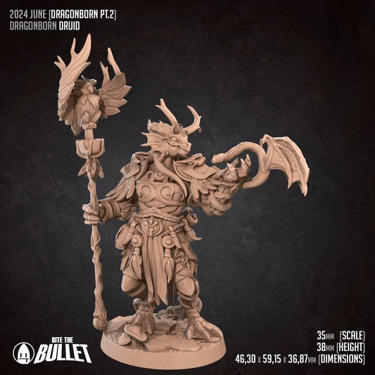 Dragonborn Druid (Medium) - Tabletop Figure for Dungeons & Dragons, DnD, Pathfinder RPGs, TTRPG