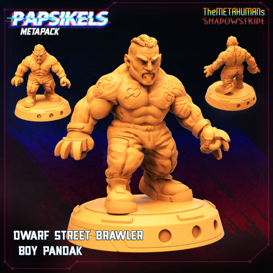 Dwarf Street Brawler Boy Pandak