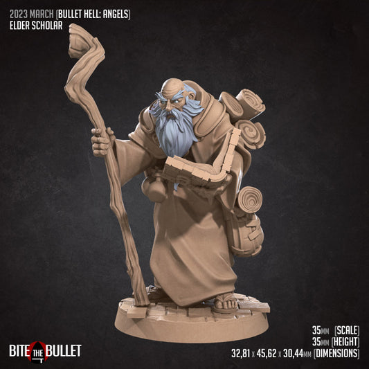 Elder Scholar (Medium) - Tabletop Figure for Dungeons & Dragons, DnD, Pathfinder RPGs, TTRPG