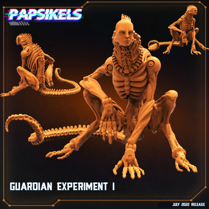Guardian Experiment I