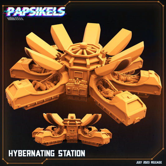 Hybernating Station