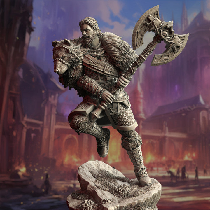 Viking Barbarian King - King Hjolmir